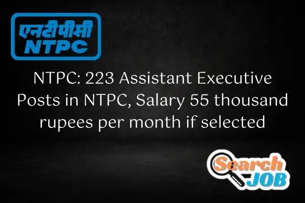 Assistant Executive