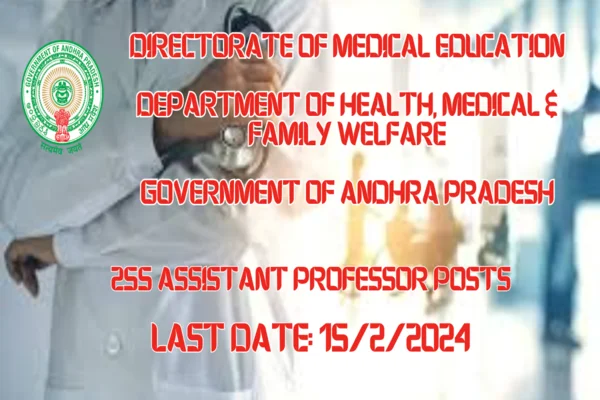 Assistant Professors
