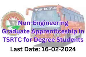 Graduate Apprenticeship