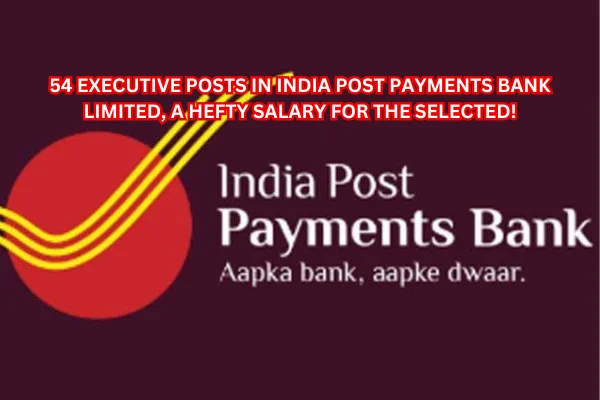 IPPB Executive: 54 Executive Posts in India Post Payments Bank Limited, a hefty salary for the selected!